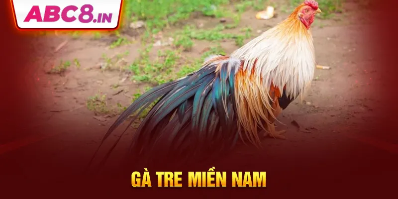 ga-tre-mien-nam-