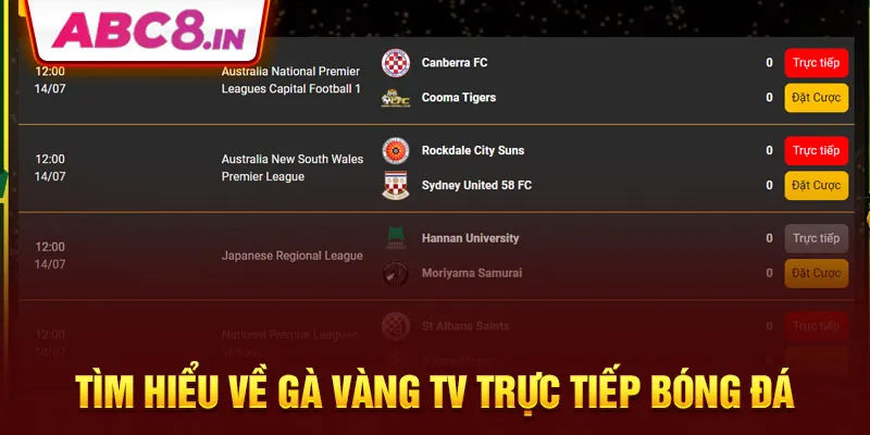 tim-hieu-ve-ga-vang-tv-truc-tiep-bong-da-