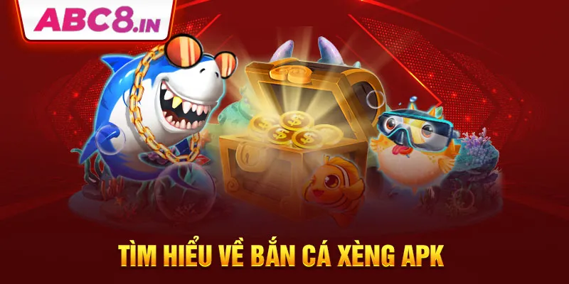 tim-hieu-ve-ban-ca-xeng-apk-