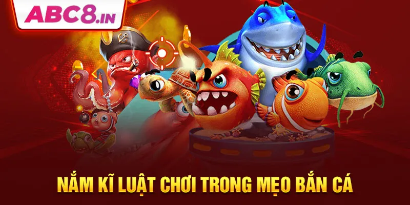 nam-ki-luat-choi-trong-meo-ban-ca