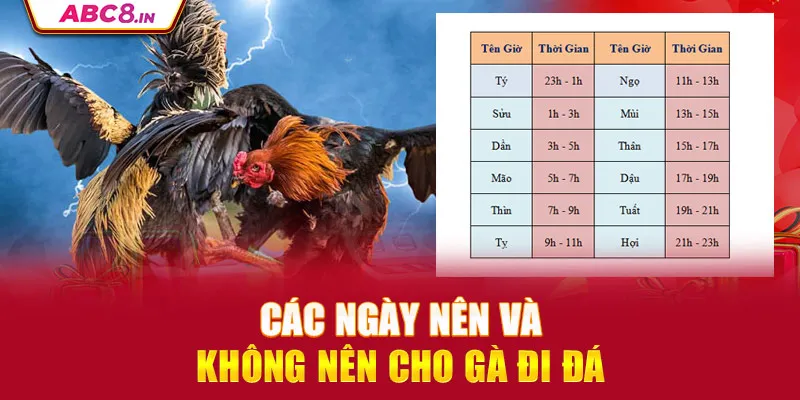 cac-ngay-nen-va-khong-nen-cho-ga-di-da_9_11zon